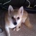 Looking for forever loving home