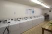 One room for rent in stylish apartment near western
