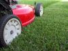 Lawn mowing, weed whacker, gardener & general handy man