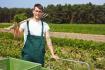 Professional Shepherd, Fencer and Farm Hand