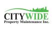 Snow Removal & Salting