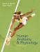 Human Anatomy & Physiology 7th ed.