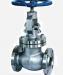 GLOBE VALVES IN KOLKATA